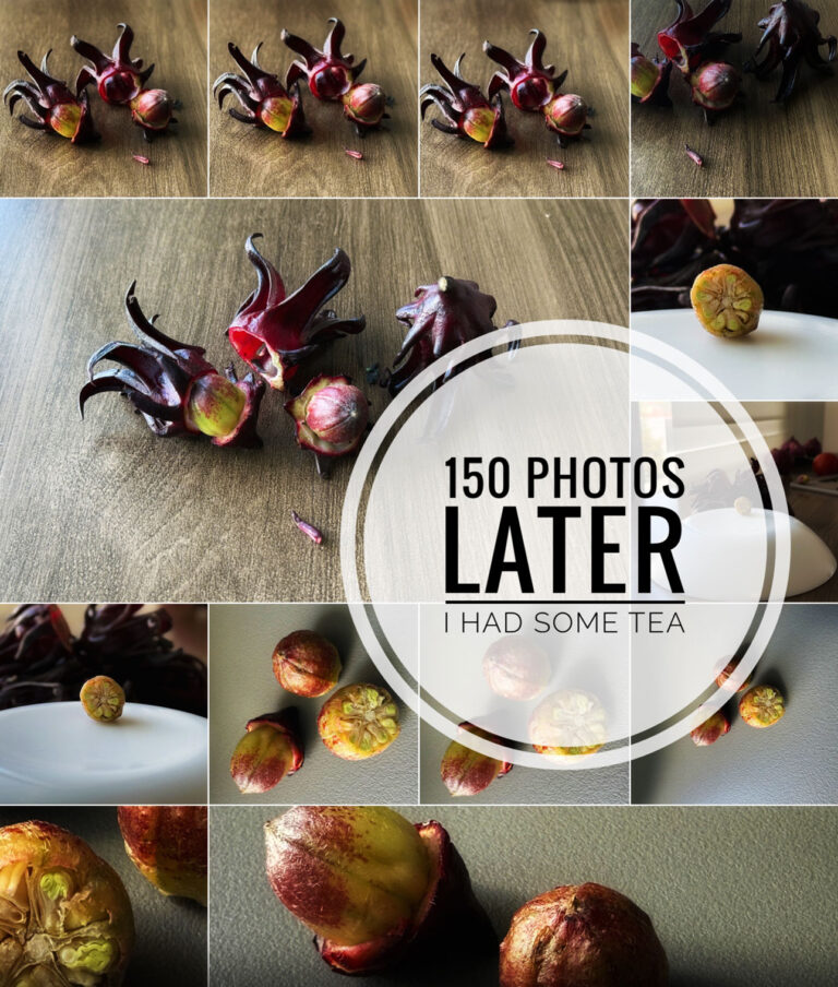 Collage of Flor de Jamaica photo shoot with text overlay “150 Photos Later I had some tea”