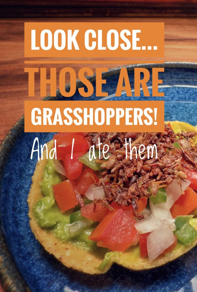 Tostadas topped with crunchy Chapulines (grasshoppers), ready for adventurous palates.