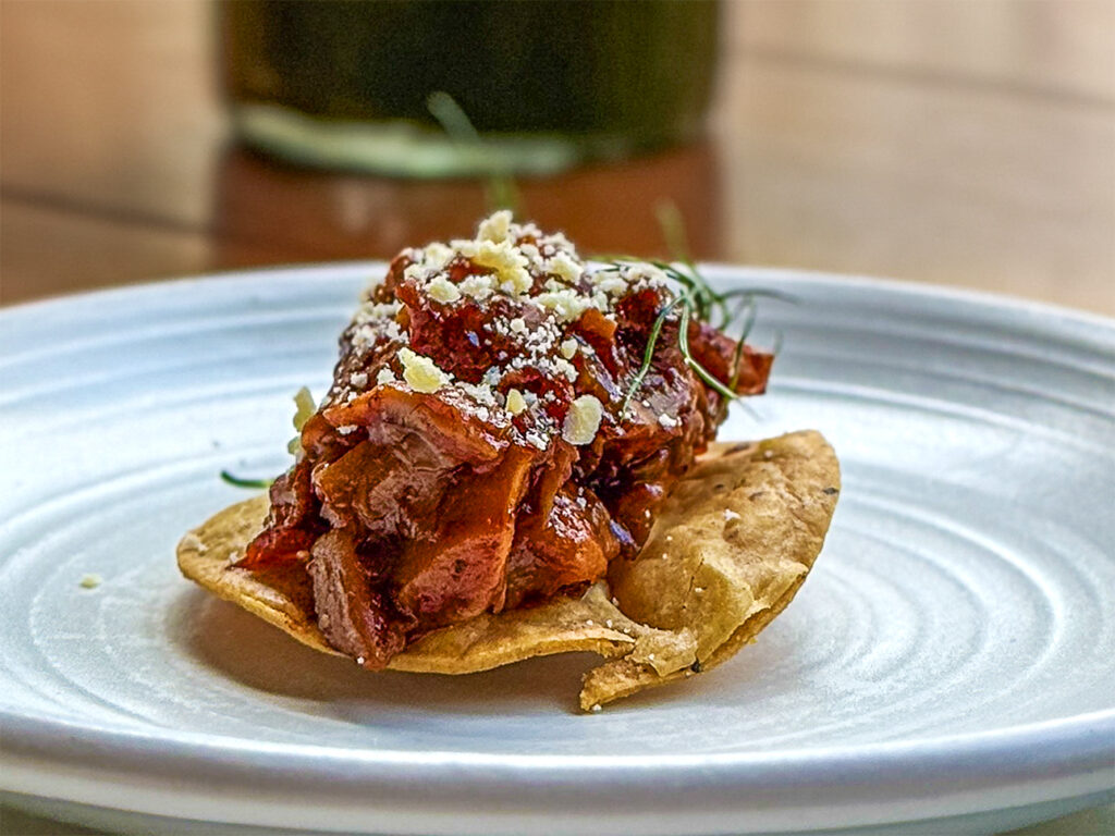 Mini tostada with tender shredded meat in red sauce